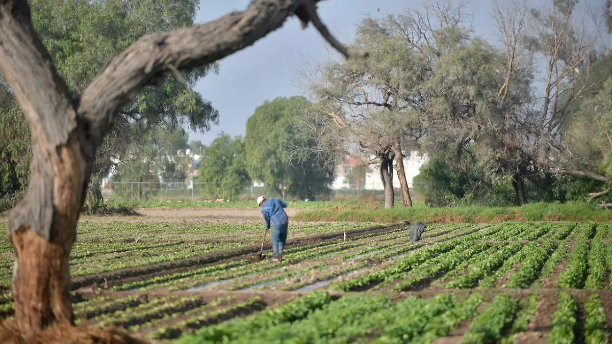 productores afectados sequía JO